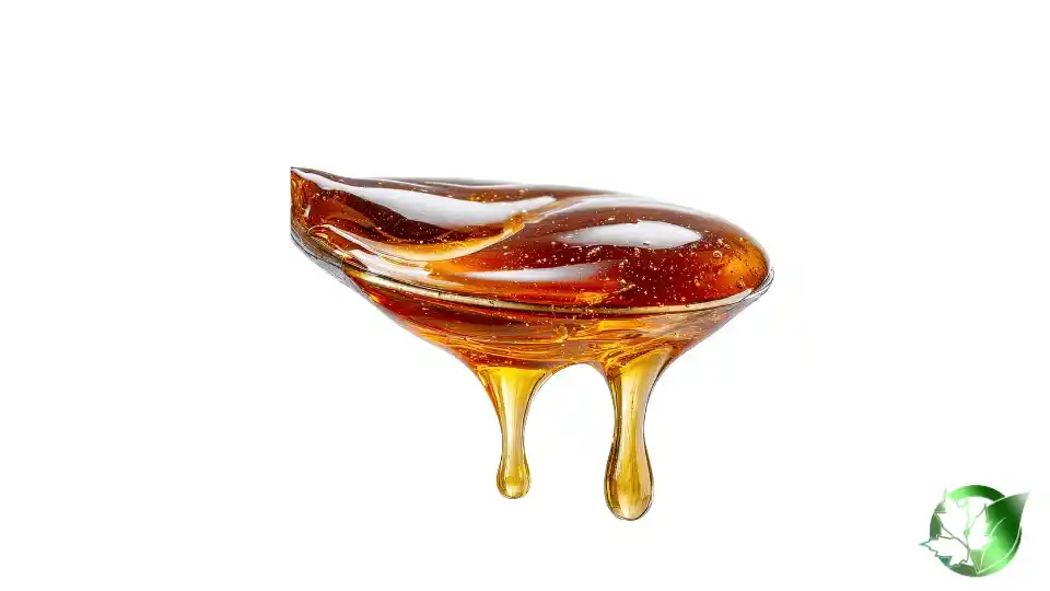Bulk Sesame Syrup (Tahini Syrup) | Suppliers | Wholesale | ParsaFood Global